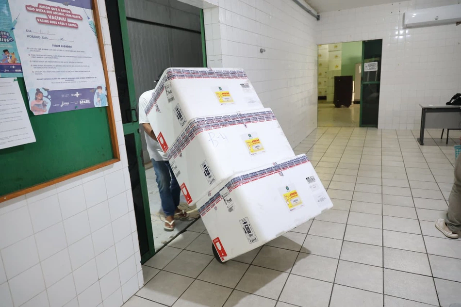 Sesapi recebe 280 mil doses de vacina contra a Influenza e prepara campanha de imunização