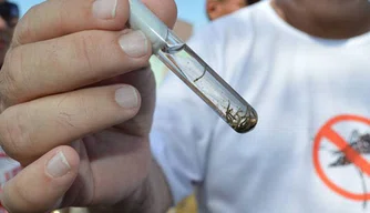 Teresina registra um caso de dengue tipo 3 e intensifica ações de prevenção