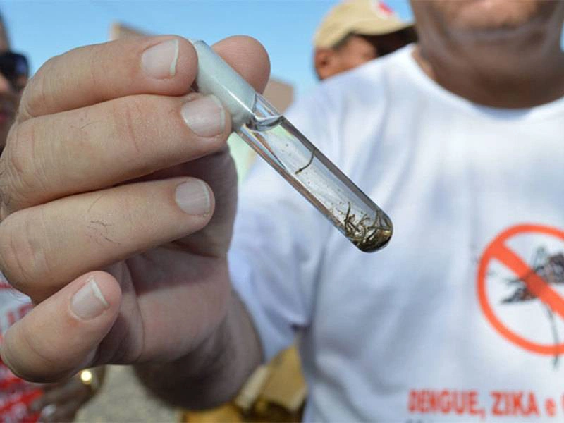 Teresina registra um caso de dengue tipo 3 e intensifica ações de prevenção