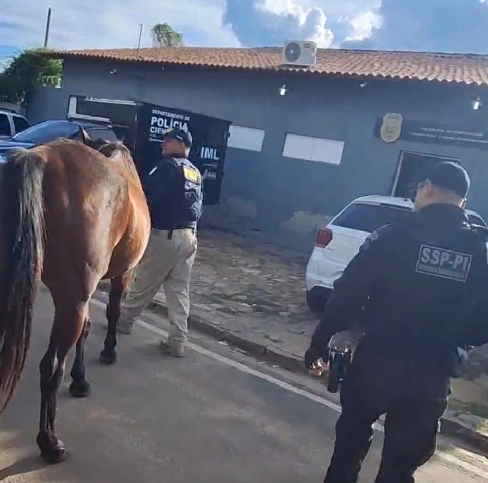 Operação Porteira Fechada