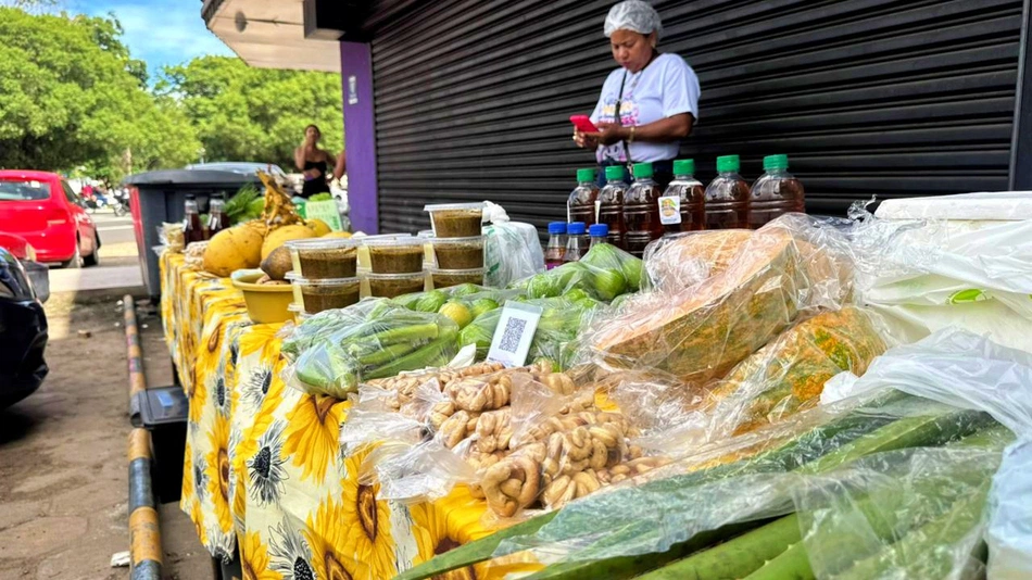 Governo do Piauí atende mais de 700 mil produtores rurais com fortalecimento do campo