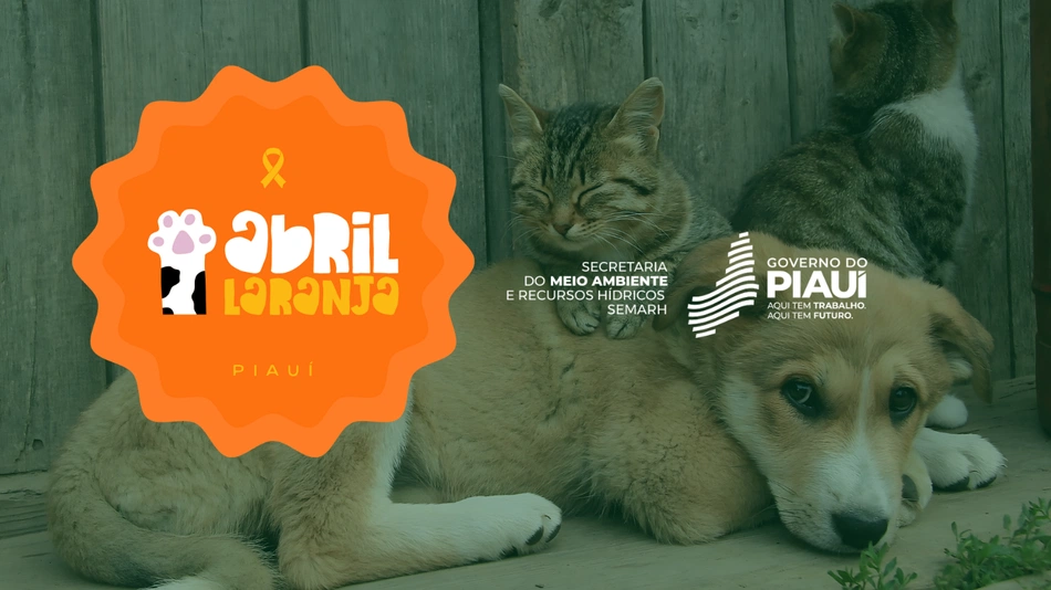 Ação alusiva à Campanha Abril Laranja, no Piauí