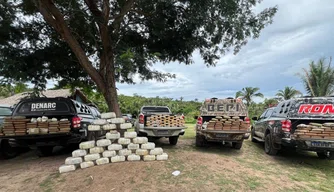 Drogas apreendidas em sítio na zona rural de Caxias