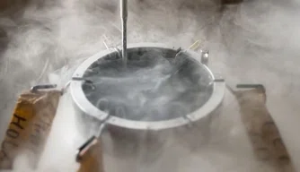 semen, inseminação, programa mais genética