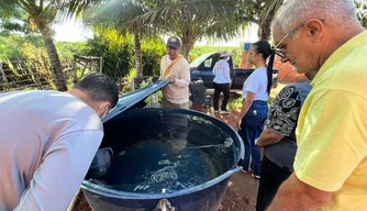 Combate a dengue