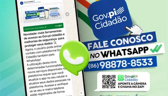 Governo do Piauí disponibiliza serviços públicos à população pelo WhatsApp