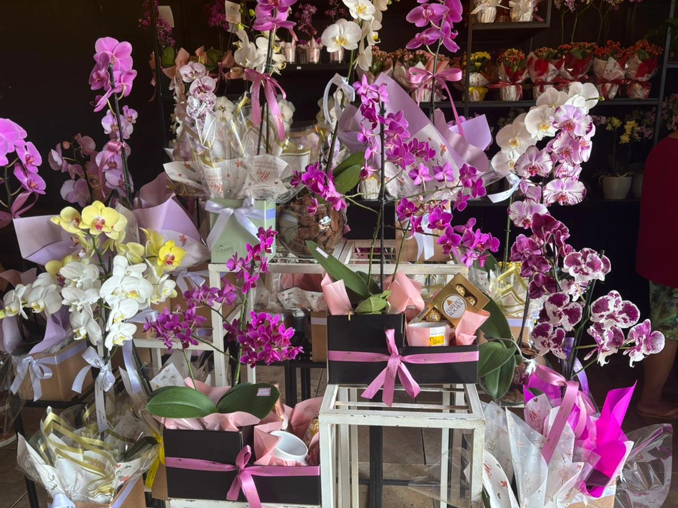 Shopping Natureza