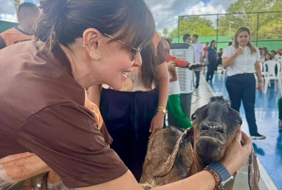 Ivanária Sampaio apoia lançamento de livro infantil inspirado em amizade de criança com bode em Esperantin