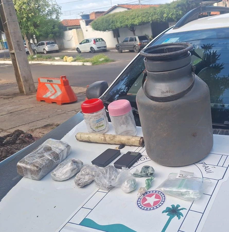 Polícia Militar apreende drogas enterradas em área de mata em Teresina