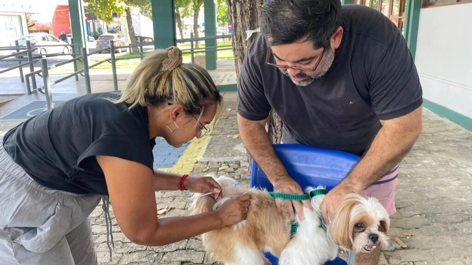 Campanha antirrábica imuniza mais de 125 mil animais em Teresina e vacinação segue disponível