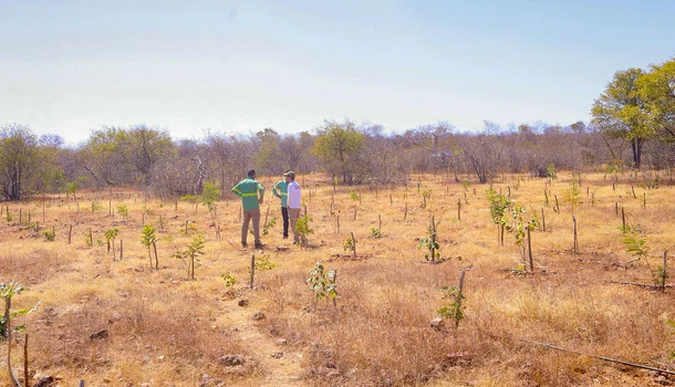Semarh alerta para calor extremos e redução de chuvas com El Niño no Piauí