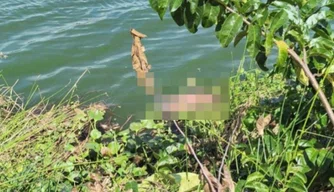 Corpo é encontrado boiando em lago da zona Sul de Teresina