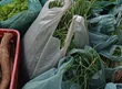 Alimentos produzidos pela agricultura familiar chegam à Semcaspi em Teresina
