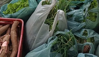 Alimentos produzidos pela agricultura familiar chegam à Semcaspi em Teresina