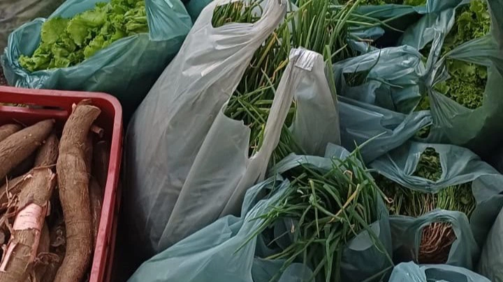 Alimentos produzidos pela agricultura familiar chegam à Semcaspi em Teresina