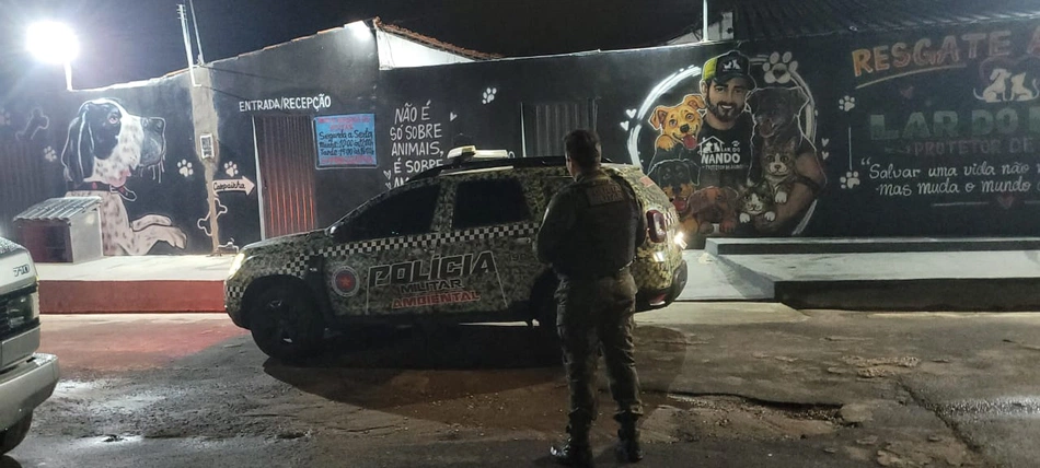 Polícia Militar prende homem por maus-tratos contra cadela com pata fraturada na Zona Norte de Teresina