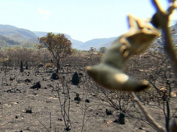 Incêndio destrói vegetação na Serra do Cipó (Imagem:Reprodução/TV Globo)) Incêndio destrói vegetação na Serra do Cipó (Imagem:Reprodução/TV Globo))
