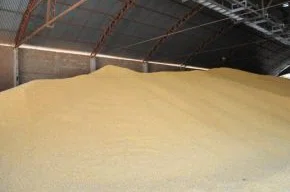 Soja: produto piauiense mais vendido no exterior