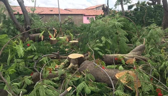 Àrvores são cortadas da praça do Saci em Teresina